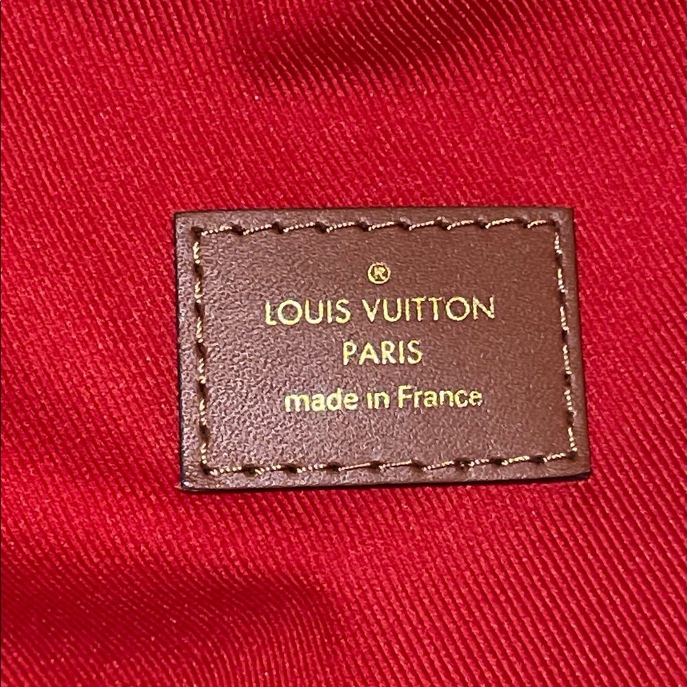 Louis Vuitton Teddy Mono Bumbag - Picture 12 of 13
